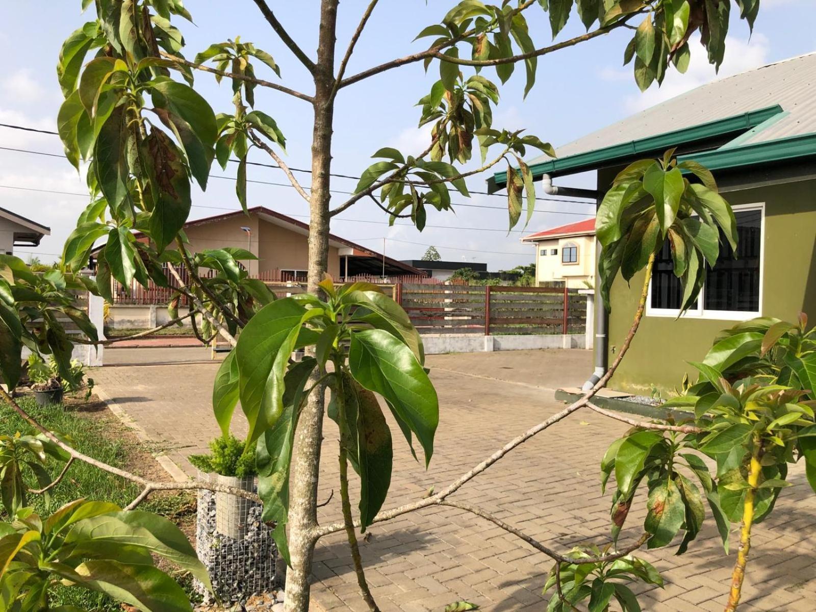 Grapefruitstraat Appartement Paramaribo Buitenkant foto